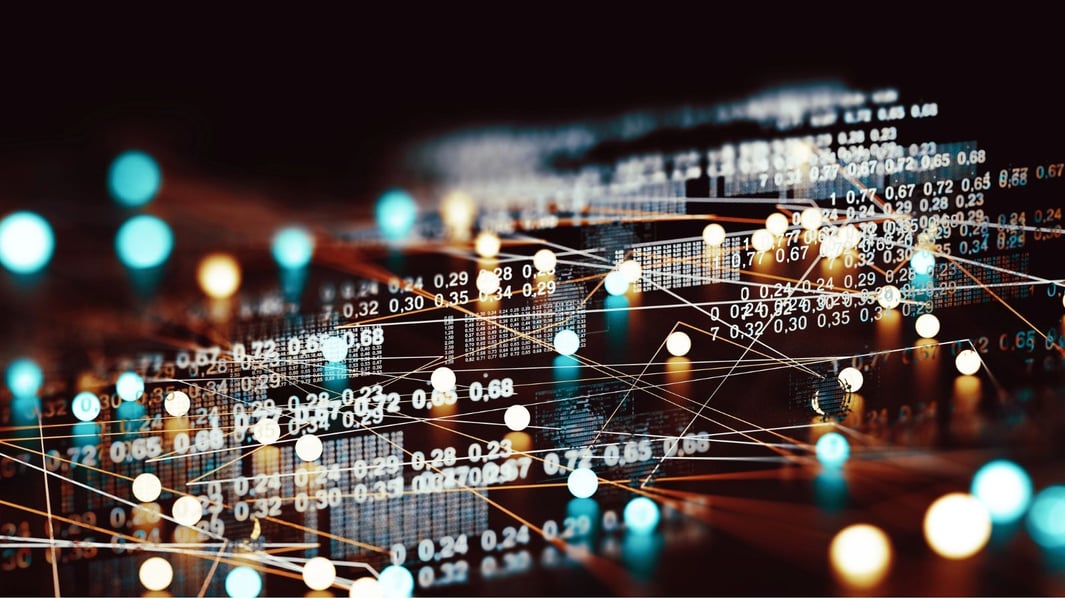 data requirements customs systems amendments