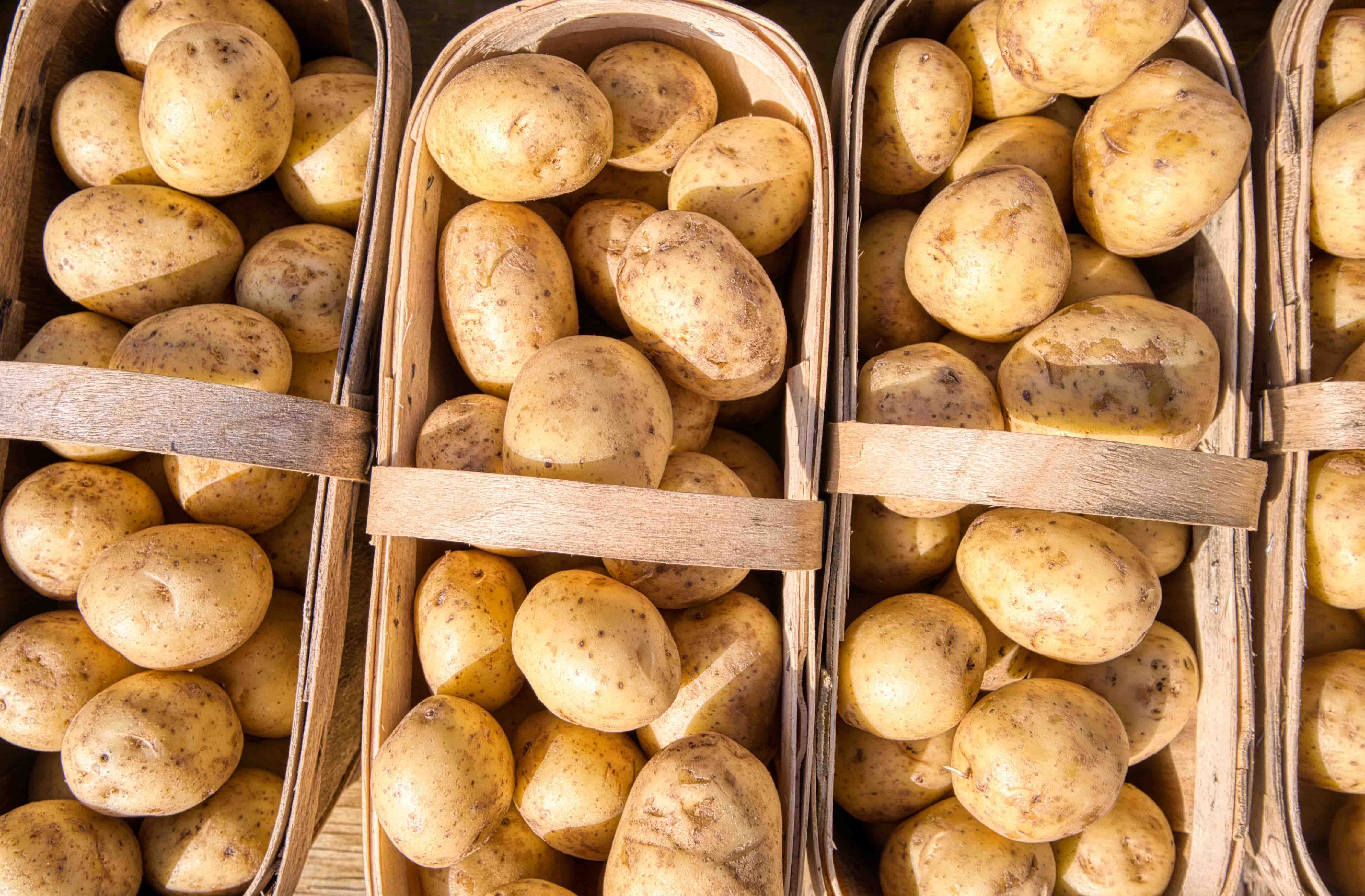 Agristo-potatoes