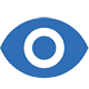 Vision1-1